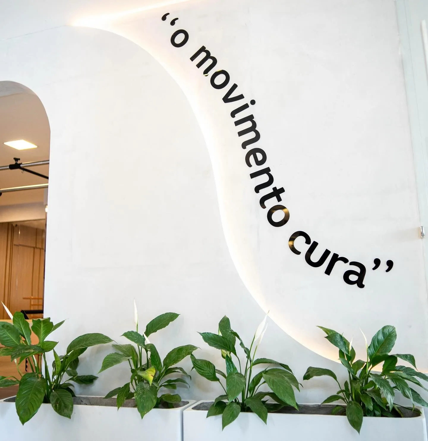 "O movimento cura" — parede do estúdio